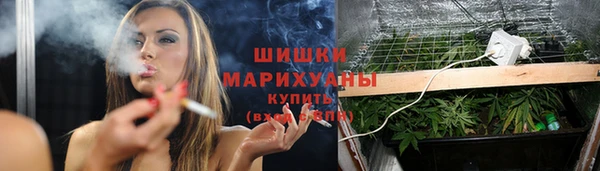 ГАЛЛЮЦИНОГЕННЫЕ ГРИБЫ Белокуриха