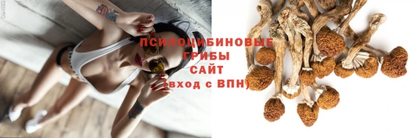 ГАЛЛЮЦИНОГЕННЫЕ ГРИБЫ Белокуриха