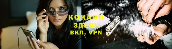 ГАЛЛЮЦИНОГЕННЫЕ ГРИБЫ Белокуриха