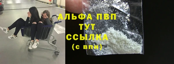 ГАЛЛЮЦИНОГЕННЫЕ ГРИБЫ Белокуриха