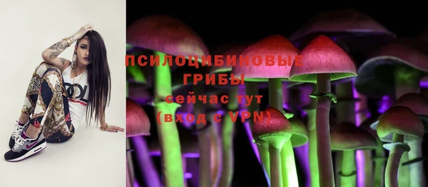 первитин Беломорск