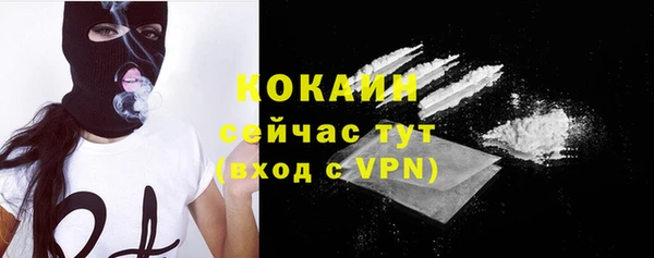 ГАЛЛЮЦИНОГЕННЫЕ ГРИБЫ Белокуриха