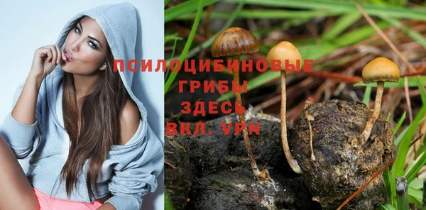 первитин Беломорск