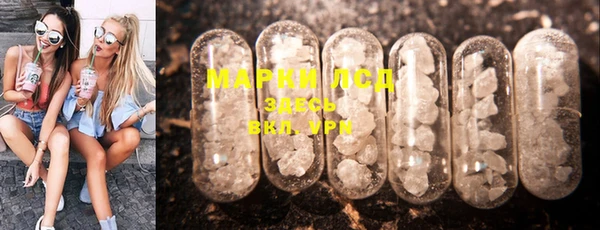 ГАЛЛЮЦИНОГЕННЫЕ ГРИБЫ Белокуриха