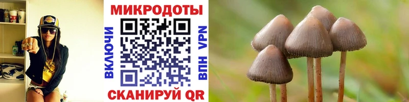 Псилоцибиновые грибы мухоморы  Гудермес 