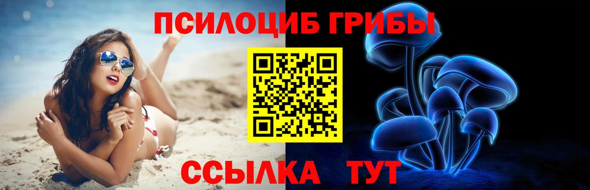купить наркотик  Галлюциногенные грибы Magic Shrooms  Вход с VPN  Гудермес  Галлюциногенные грибы MAGIC MUSHROOMS 